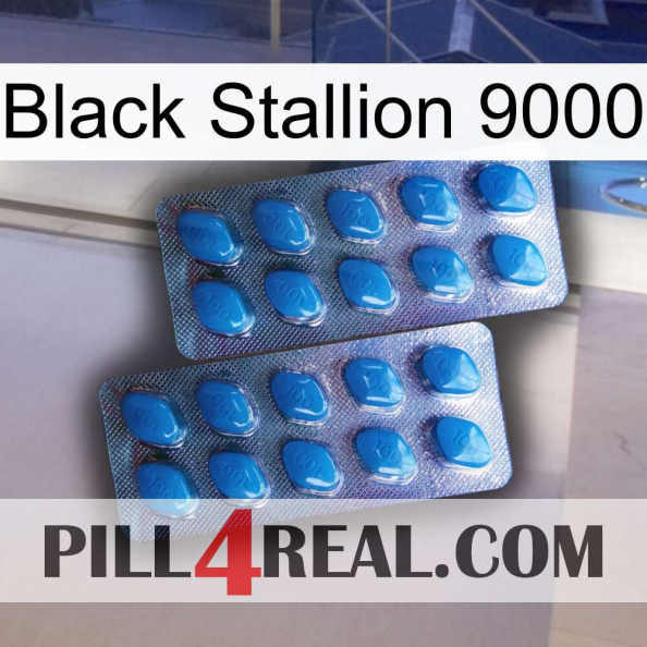 Black Stallion 9000 viagra2.jpg